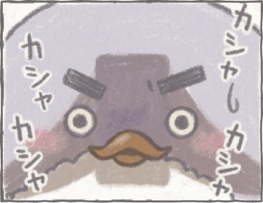 自撮に挑戦だっぴ3
